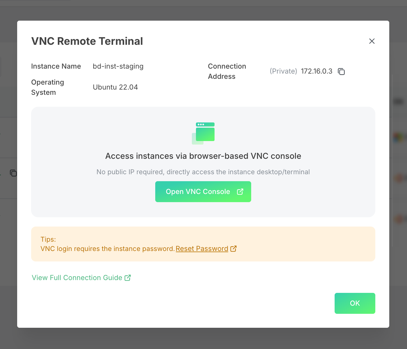 Figure 3: VNC connection dialog