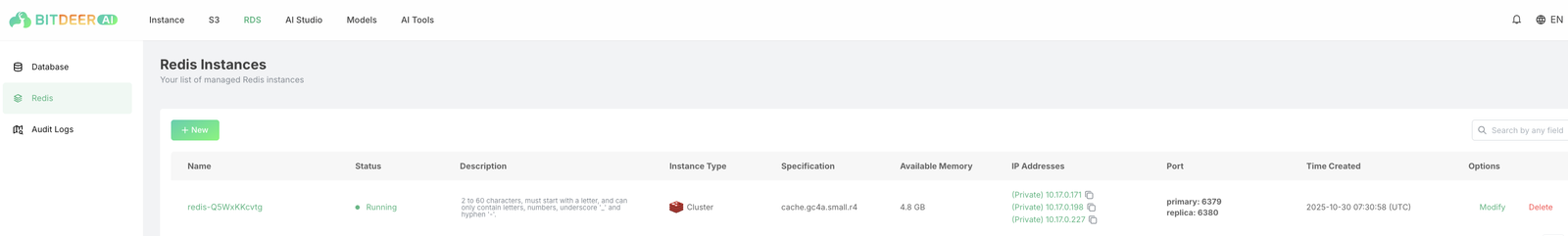 Redis In-memory Database