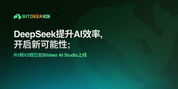 DeepSeek-V3 and R1 model