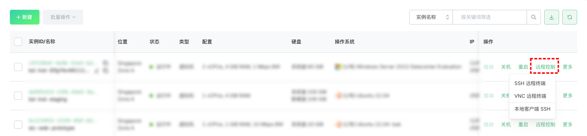 图 1：实例列表中的远程控制入口